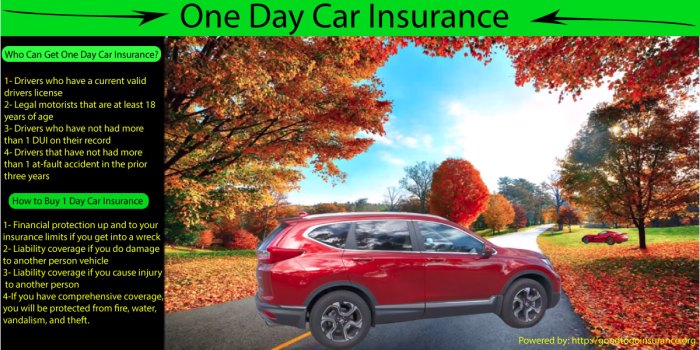 1 a Day Automobile Insurance coverage with Medicaid