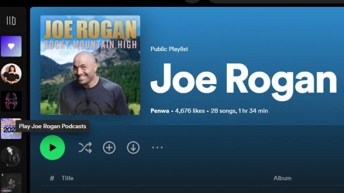 How you can Hearken to Joe Rogan Podcast With out Spotify