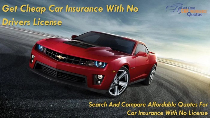 Do You Want Automobile Insurance coverage for a Drivers License?