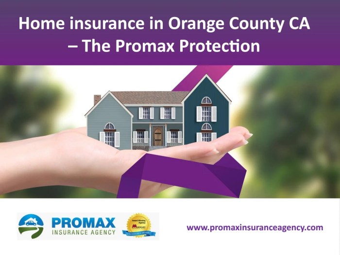 Professional-Life Residence Care Company Insurance coverage