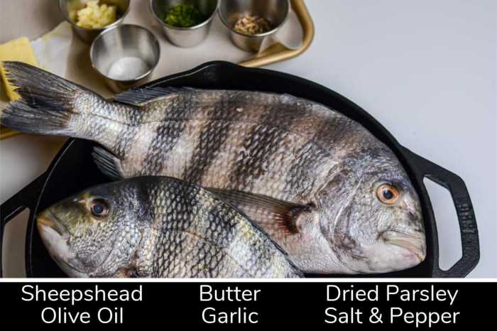 How one can Cook dinner Sheepshead Fish A Complete Information