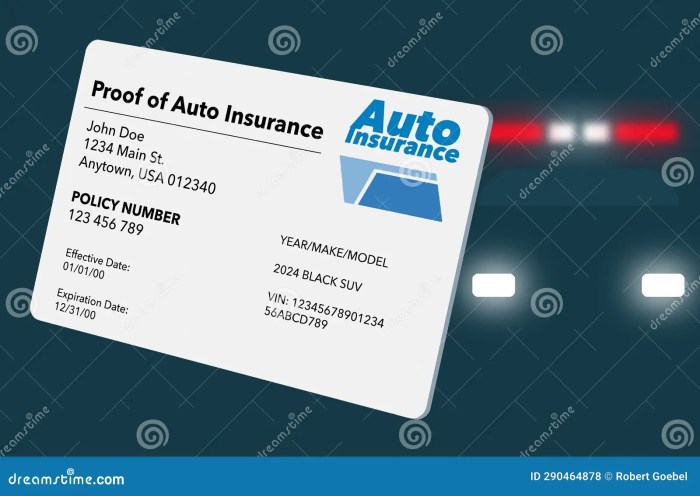 Understanding Automotive Insurance coverage Playing cards What They Look Like