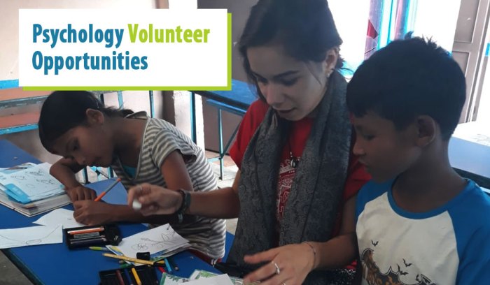 Distant Volunteering for Khmer Psychology Professor