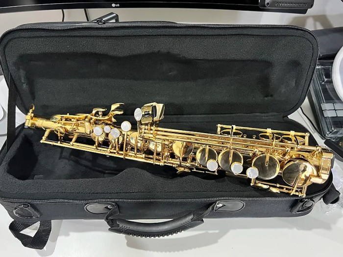 How Lengthy to Order the Emeo Saxophone?