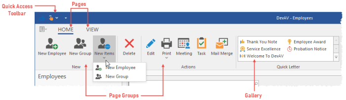 Delphi Ribbon Management A Programmers Information