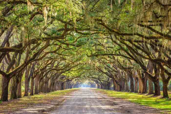 How Far From Savannah to Charleston SC