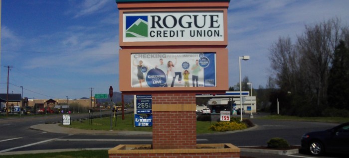 Rogue Credit score Union Automotive Insurance coverage A Dangerous Gamble?