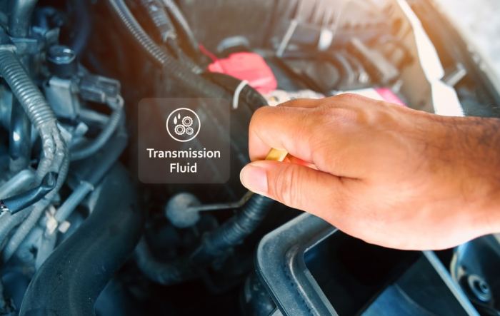 Learn how to Discover BMW Transmission Fluid Sort Your Information