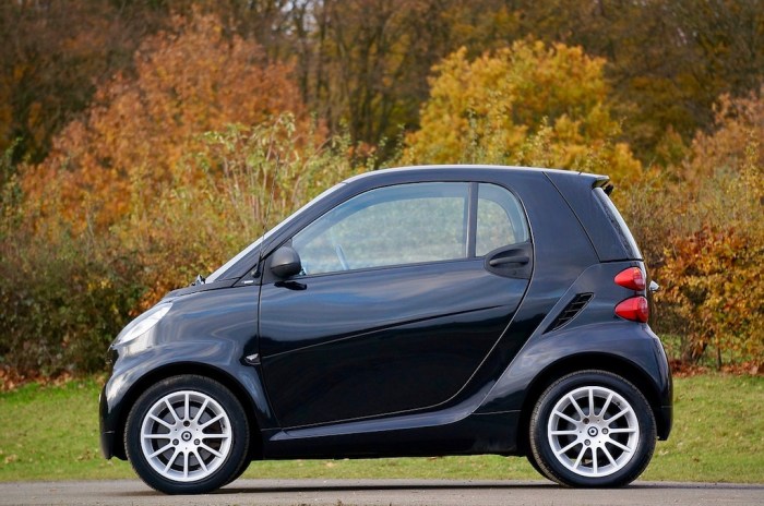Automobile Insurance coverage for Good Automobile A Complete Information