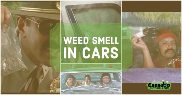 How to get weed smell out of a car