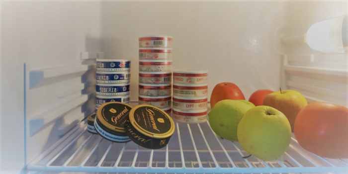 How you can Retailer Snus A Complete Information