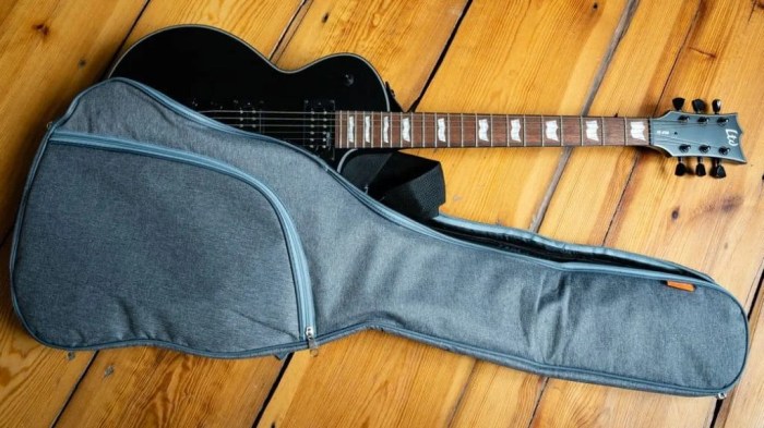 How much does it cost to ship a guitar