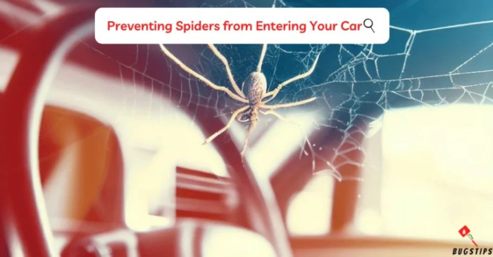 Kick Spiders Out of Your Trip The best way to Get Rid of Spiders From Automotive