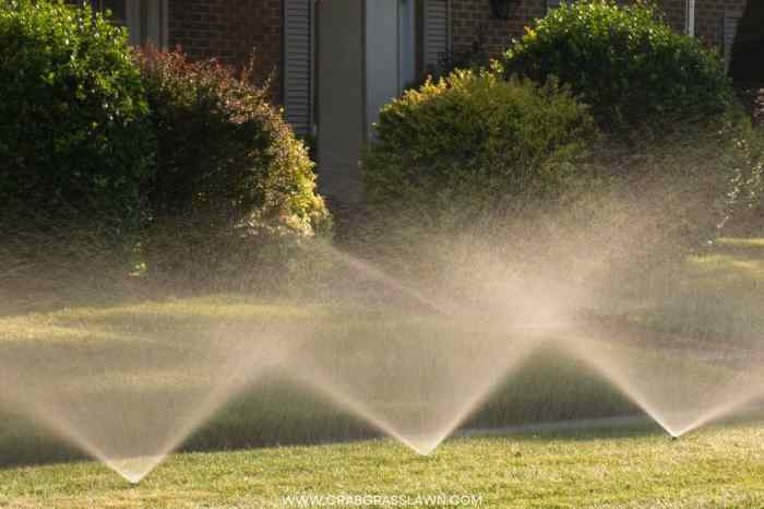How Lengthy to Run Sprinklers Your Watering Information