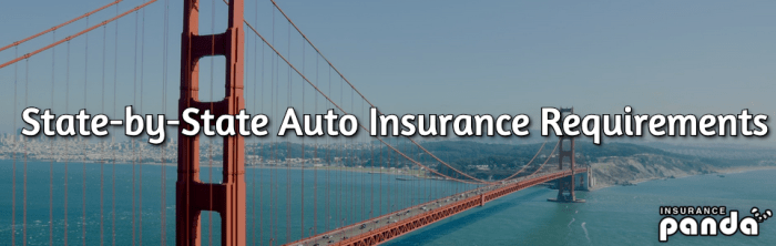 Pilot Automobile Insurance coverage Necessities by State A Complete Information