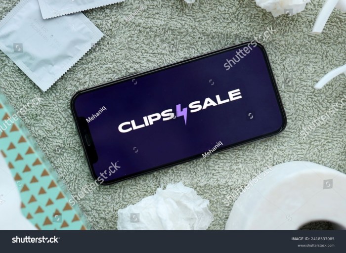 The right way to Obtain Clip4Sales Movies for Free – A Complete Information