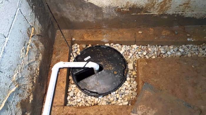 How A lot to Set up a Sump Pump? Prices & Components