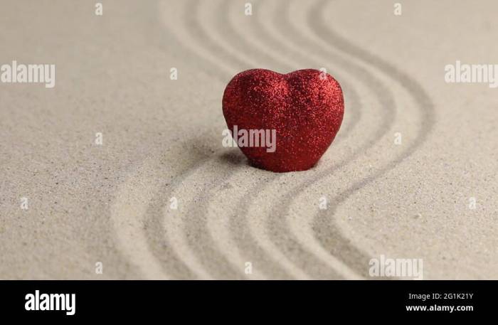 Learn how to Excavate a Coronary heart A Deep Dive