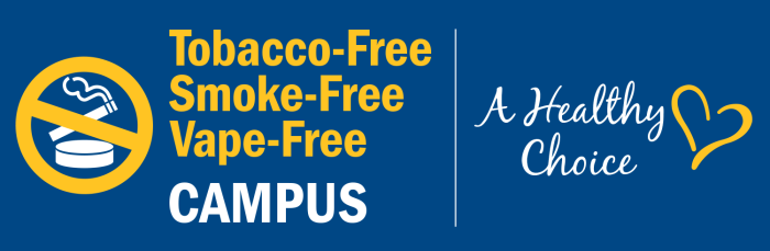 Learn how to Get Free Vapes A Harmful Quest