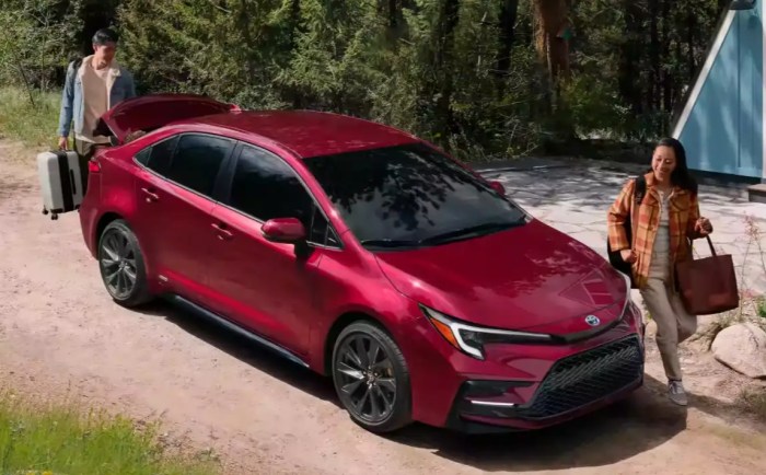 Automotive Insurance coverage for 2024 Toyota Corolla Your Information