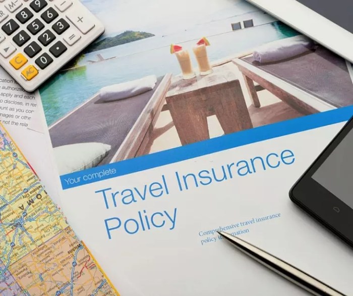 Does Journey Insurance coverage Cowl Automobile Rental?