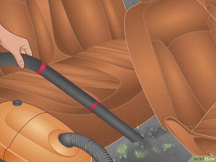 How one can Get Rid of Mould in a Automobile A Complete Information
