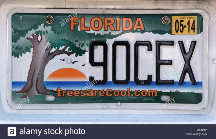 Florida License Plates Your Information