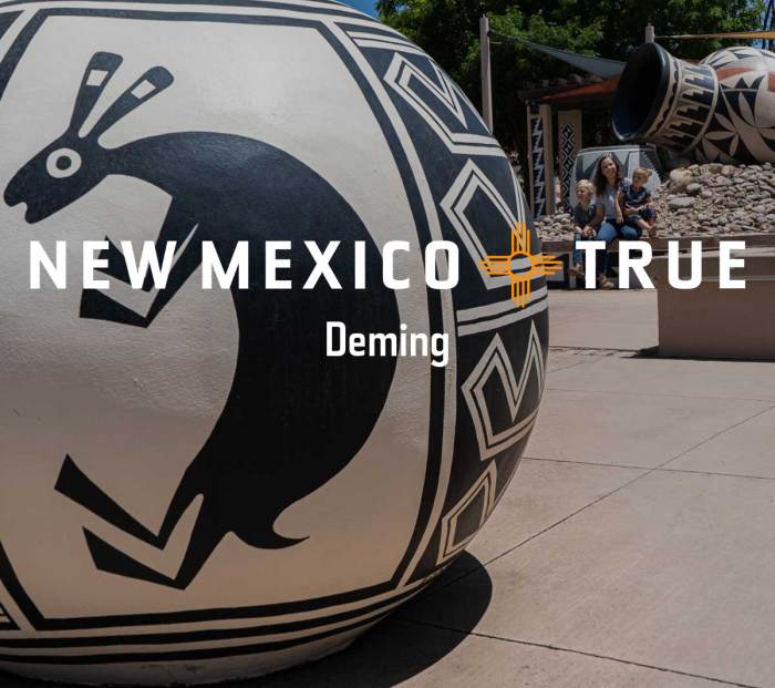 Deming, NM House Assist Your Information to Help
