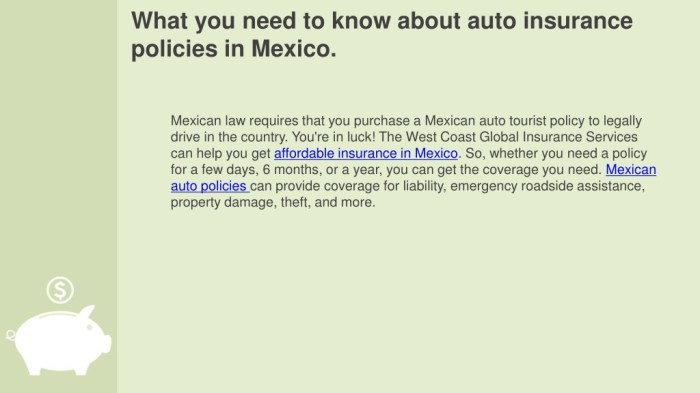 Mexican Automotive Insurance coverage Rocky Level Your Information