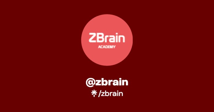 Unlocking Z-Brains Potential Learn how to Use Z-Mind